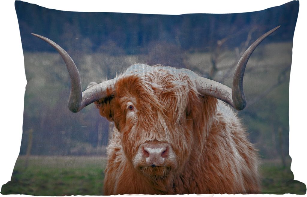 MuchoWow Outdoor Kissen - Schottisches Hochlandrind - Hörner - Berg - 60x40 cm - Wetterfest - Lounge Kissen - Zierkissen - Kissen für Innenräume