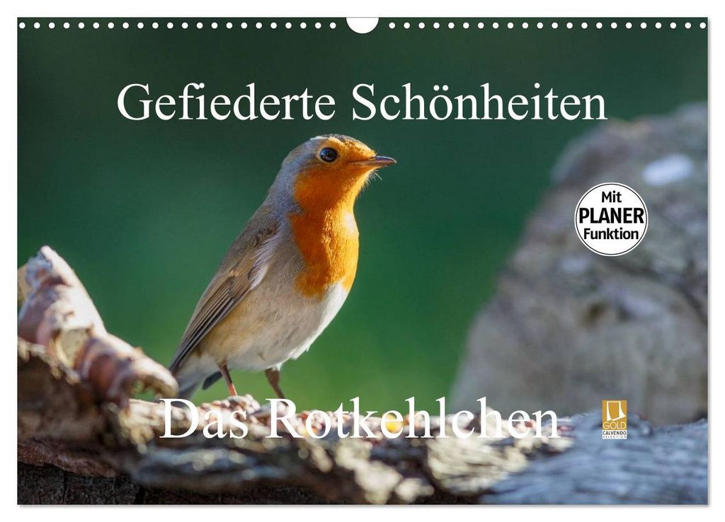Gefiederte Schönheiten - Das Rotkehlchen / Planer (Wandkalender 2027 DIN A3 quer), CALVENDO Monatskalender