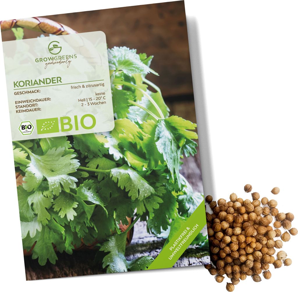 Koriandersamen - Küchenkräuter Saatgut aus biologischem Anbau ideal für den heimischen Kräutergarten, Balkon & Garten (35 Korn)