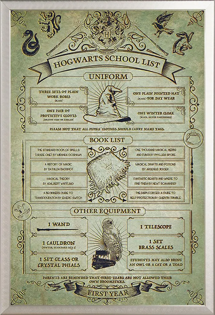 Poster Harry Potter sous vitre acrylique incassable et cadre Shinsuke