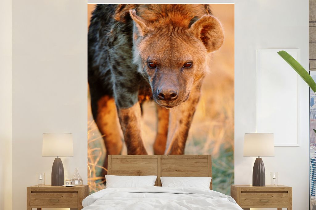 MuchoWow Fototapete für Wohnzimmer oder Schlafzimmer Wandtapete Vinyl Motivtapete Hyäne - Gras - Sonnenuntergang - 155x240 cm - Tapete