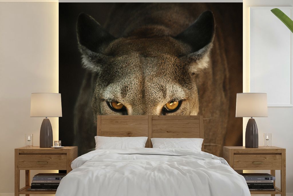 MuchoWow Fototapete für Wohnzimmer oder Schlafzimmer Wandtapete Vinyl Motivtapete Nahaufnahme Puma - 280x280 cm - Hintergrundbild