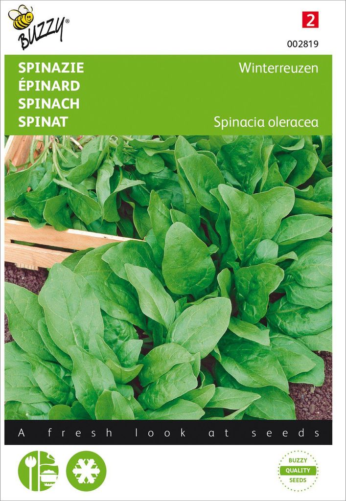 Spinat Winterriesen | Spinatsamen von Buzzy Seeds Produktbild 