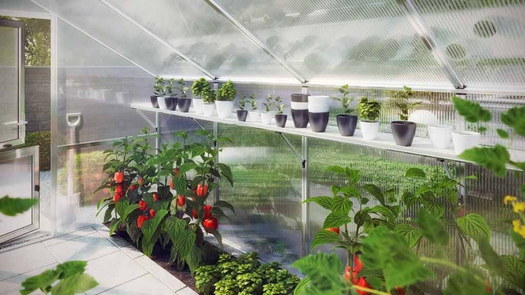 KGT Hängebord für Gewächshäuser "Orchidee" Orchidee IV