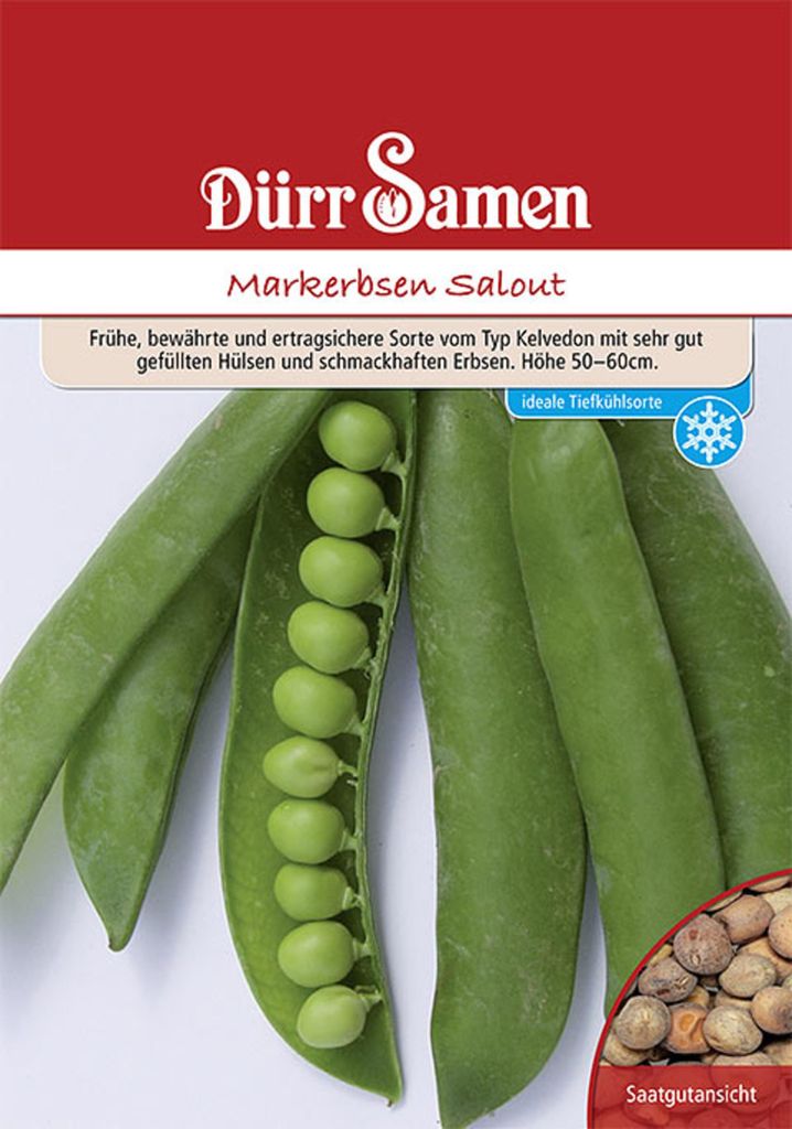 Dürr-Samen - Markerbsen Salout 250 g - Saatgut - 4092 Produktbild 