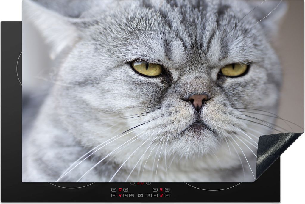 KitchenYeah Herdabdeckplatte Tier - Katze - Grau , 81x52cm, Küche Deko, Glaskeramikkochfeld Herdabdeckung, Abdeckplatte fùr Kochfeld