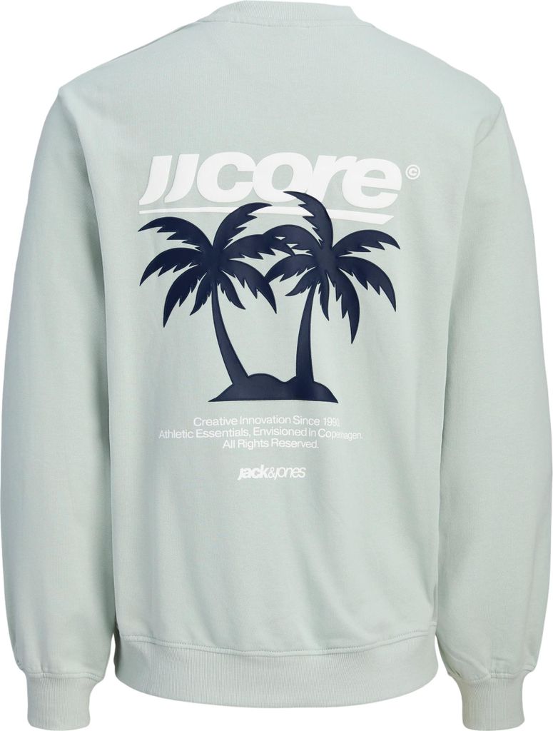 Jack & Jones Junior Pullover CLUB SUMMER Sweatshirt