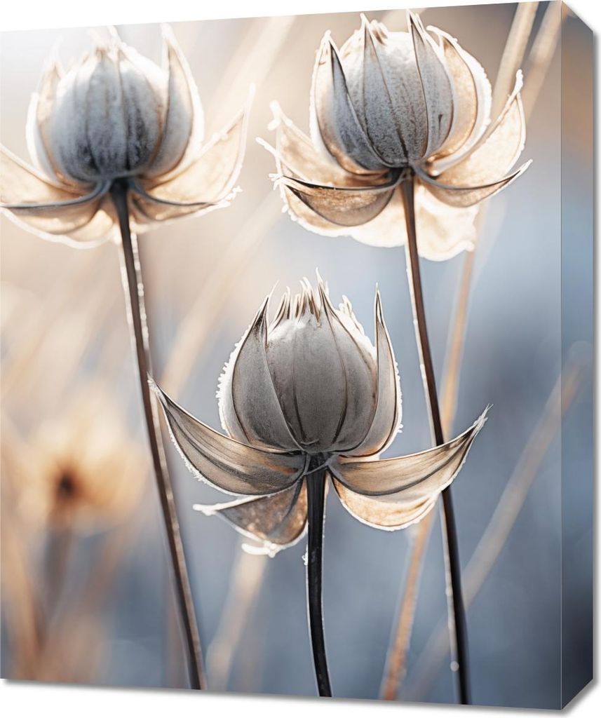 Bild 50x60cm Poetischer Herbst