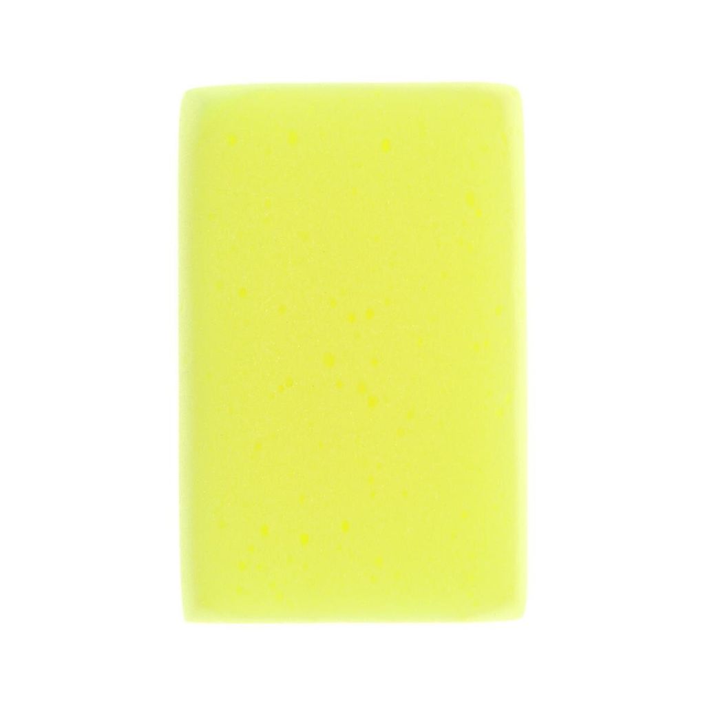 Carlinea Autoschwamm 011013
