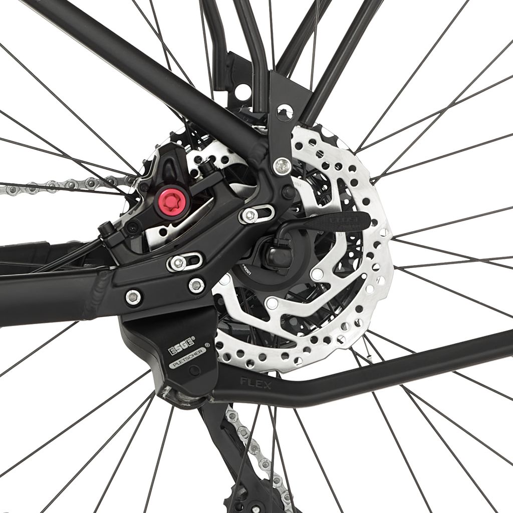FISCHER E-Bike Pedelec ATB Terra 8.0, Rahmenhöhe 43 cm, 29 Produktbild 8