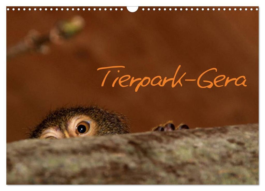 Tierpark-Gera (Wandkalender 2027 DIN A3 quer), CALVENDO Monatskalender