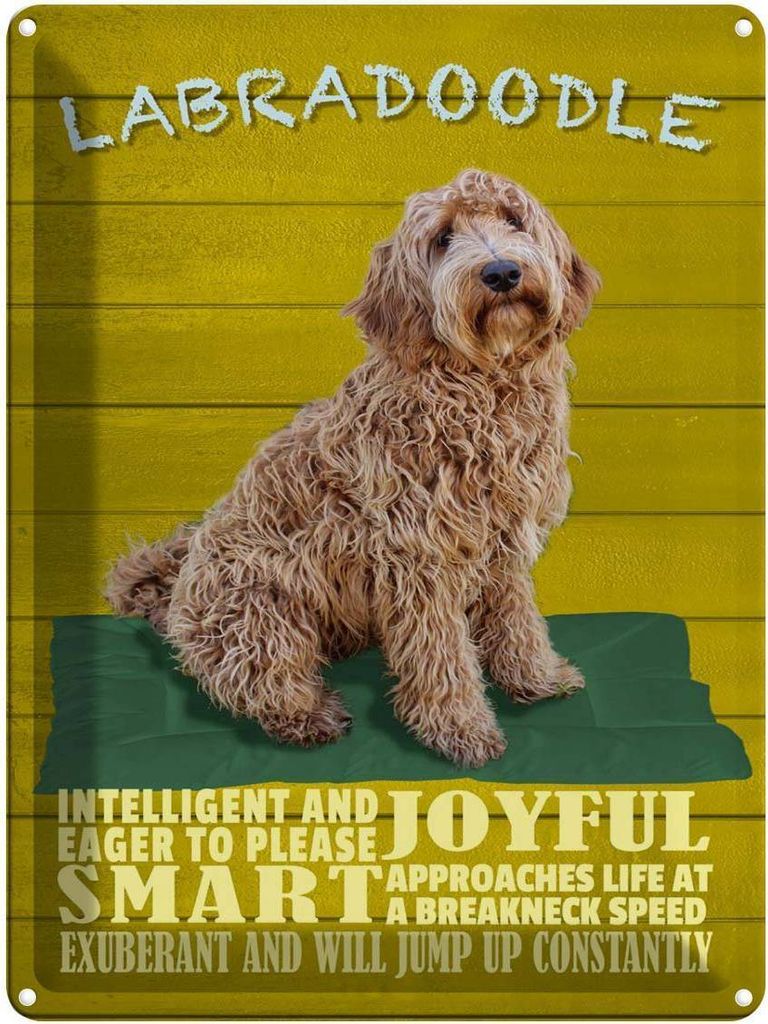 vianmo Blechschild 40x30 cm Labradoodle Hund will jump up
