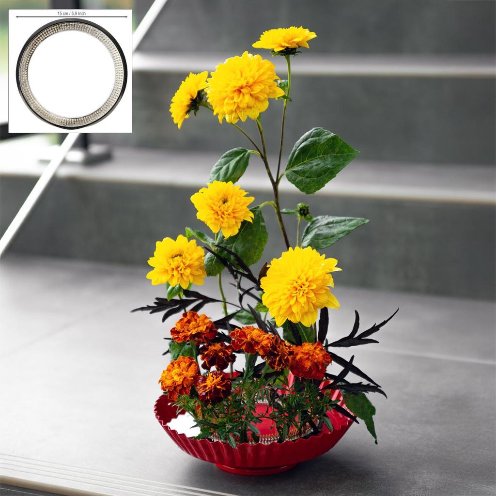 Kreative Blumengesteck-Hilfe mit stabilen Messingnadeln für Ikebana