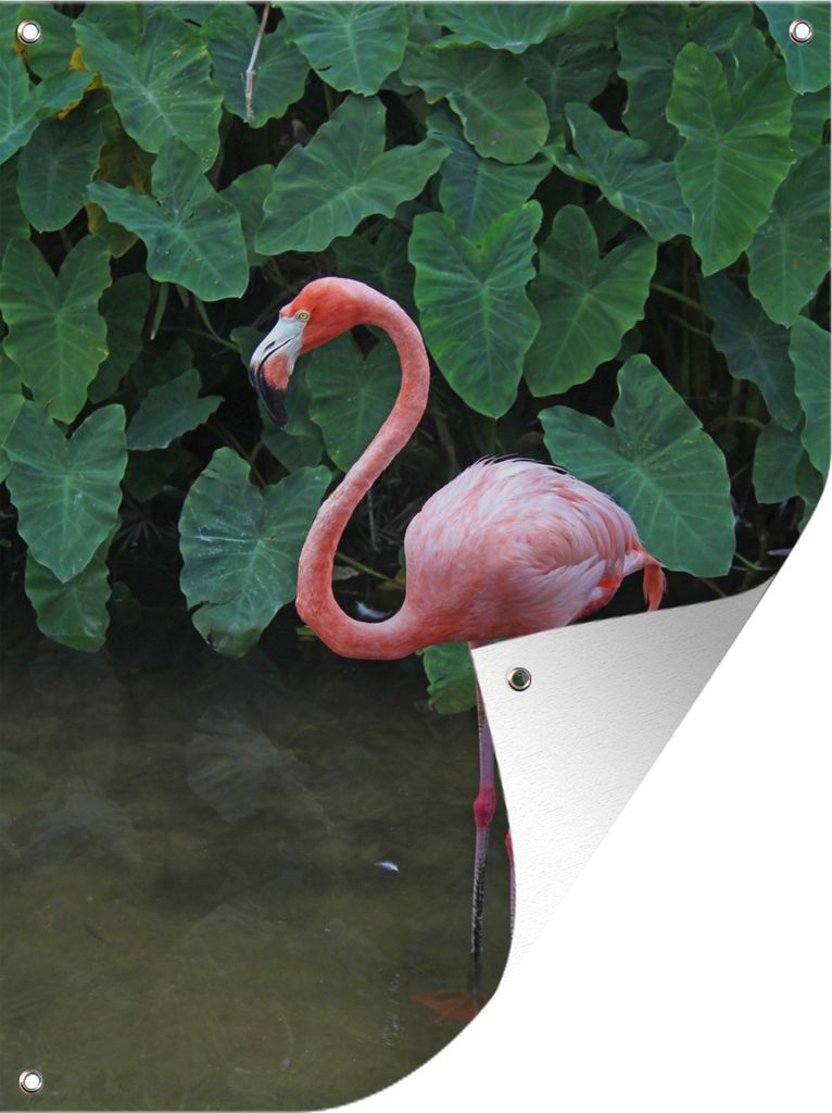 MuchoWow 30x40 cm Outdoor-Poster Gartendeko Sichtschutz Garten Poster für den Garten Ein Flamingo steht im seichten Wasser