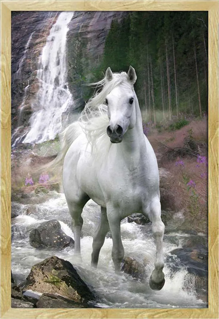 Décoration Murale Salon : Poster Cheval Blanc Bob Langrish encadré Hêtre
