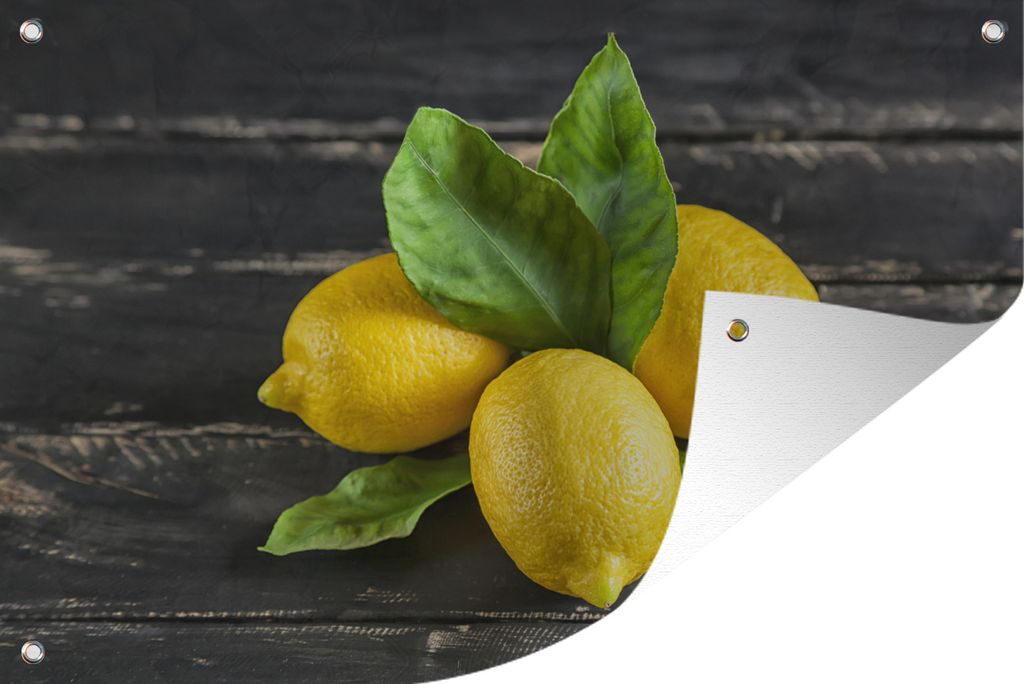 MuchoWow 120x80 cm Outdoor-Poster Gartendeko Sichtschutz Garten Poster für den Garten Zitronen mit grünen Zitronenblättern auf einem dunklen ...