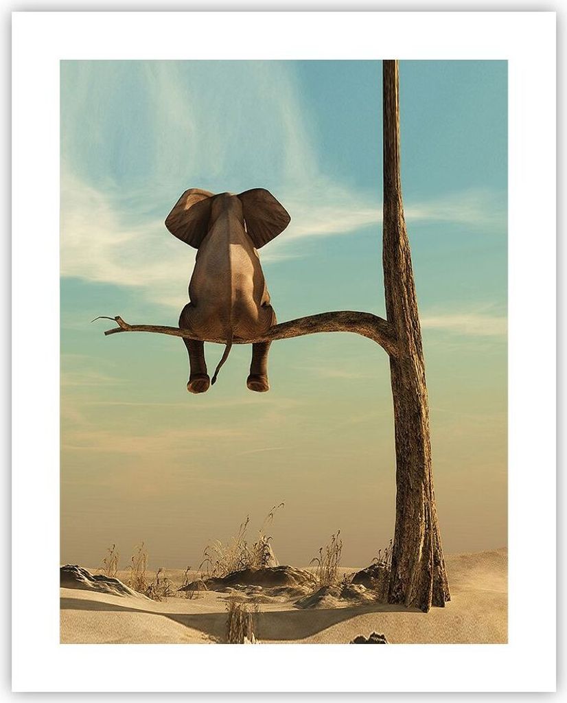 Poster - Poster ohne Rahmen - Elefant sitzend Ast - 40x50 cm - Wand Bild - Wanddeko - Wandbilder - Kunstposter - Wandposter - Bilder - Kunstdruck -...