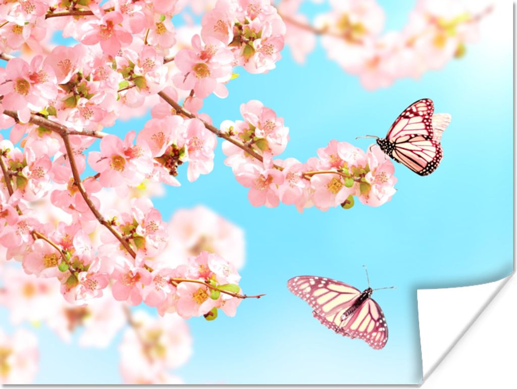 MuchoWow Poster Schmetterlinge - Baum - Blumen 80x60 cm - Kunst für zu Hause