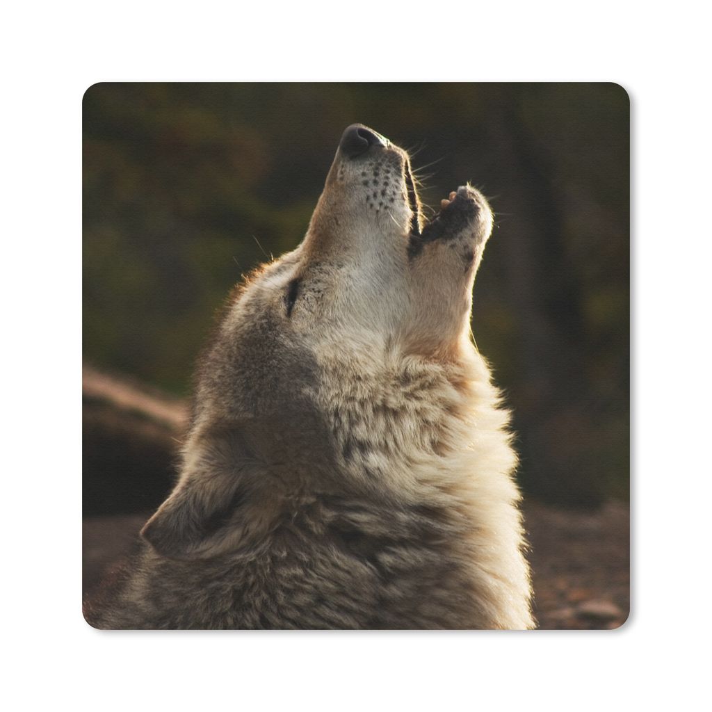 MuchoWow Mauspad Mousepad Wolf - Grau - Tiere 20x20 cm - Mousepads - Maus Mat - Pad - Mausunterlage - Desk Mat - Bureauartikeln