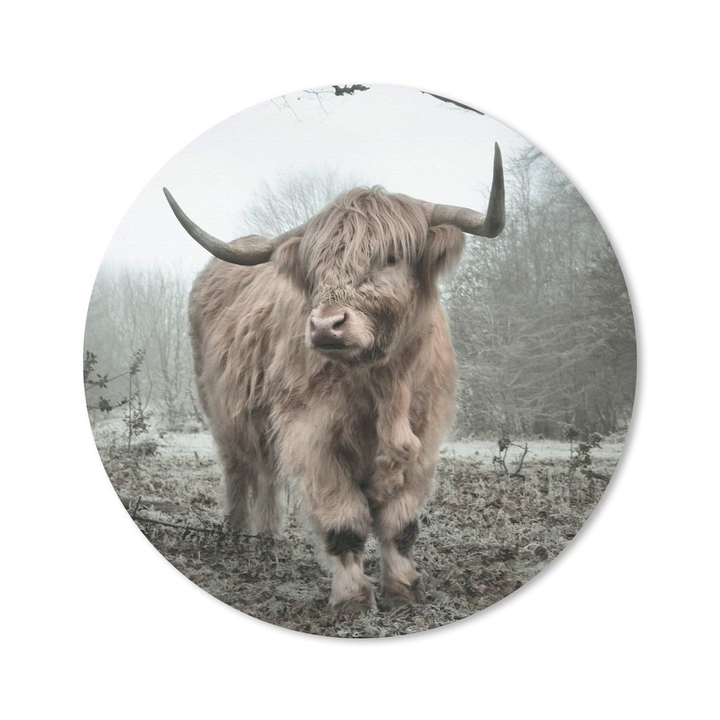 MuchoWow Mauspad Mousepad Schottischer Highlander - Wald - Nebel - Kuh - Tiere - Natur 30x30 cm - Mousepads - Maus Mat - Pad - Mausunterlage - Ti...