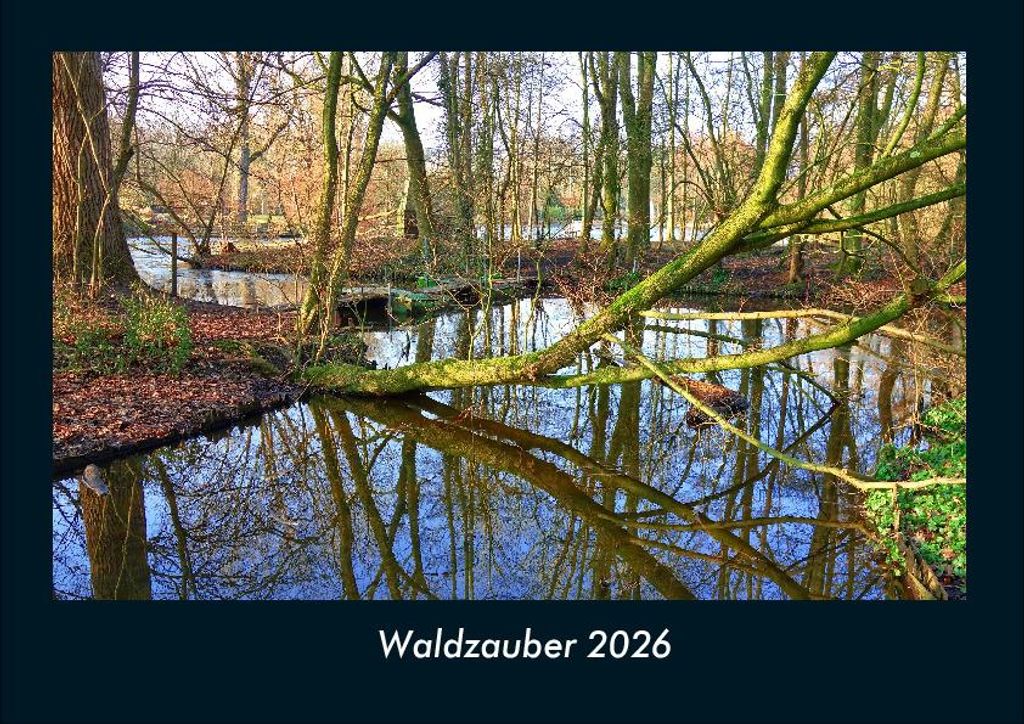 Waldzauber 2026 Fotokalender - Querformat DIN A4, Monatskalender mit Bild-Motiven aus Fauna und Flora, Natur, Blumen und Pflanzen