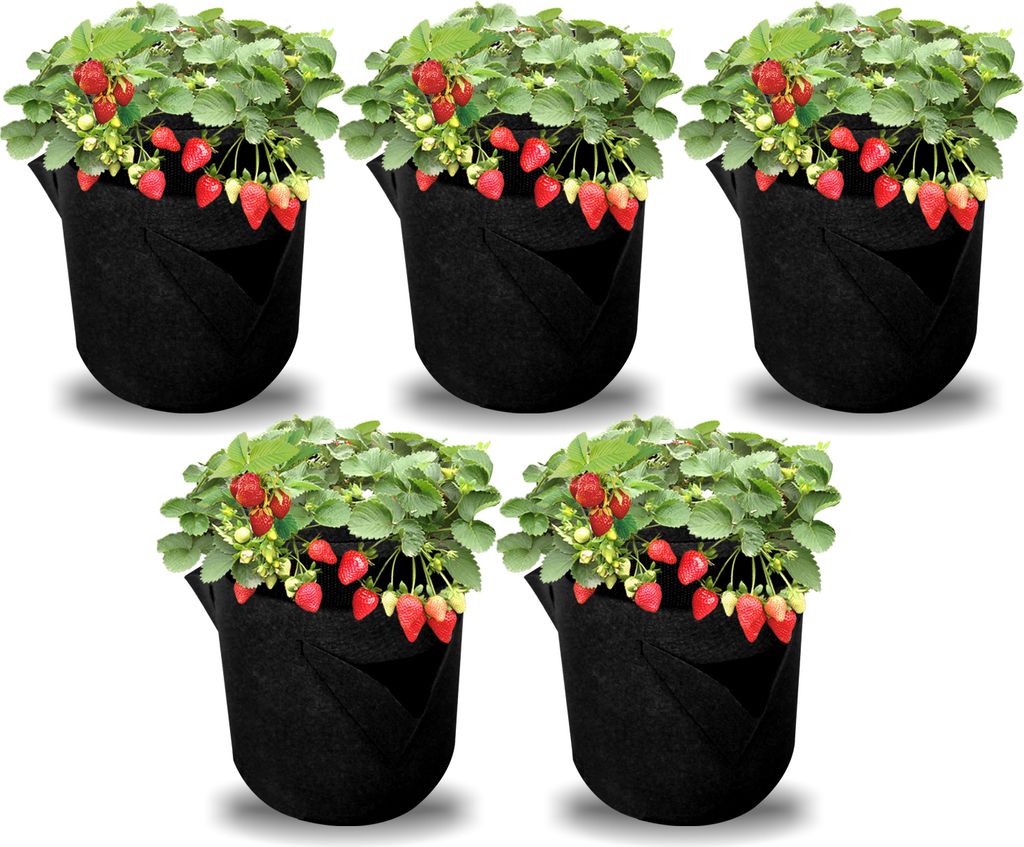 Lospitch 5x Pflanzsack Pflanzkörbe Pflanztasche Pflanzen Tasche Pflanzbeutel 27L Vliesstoff