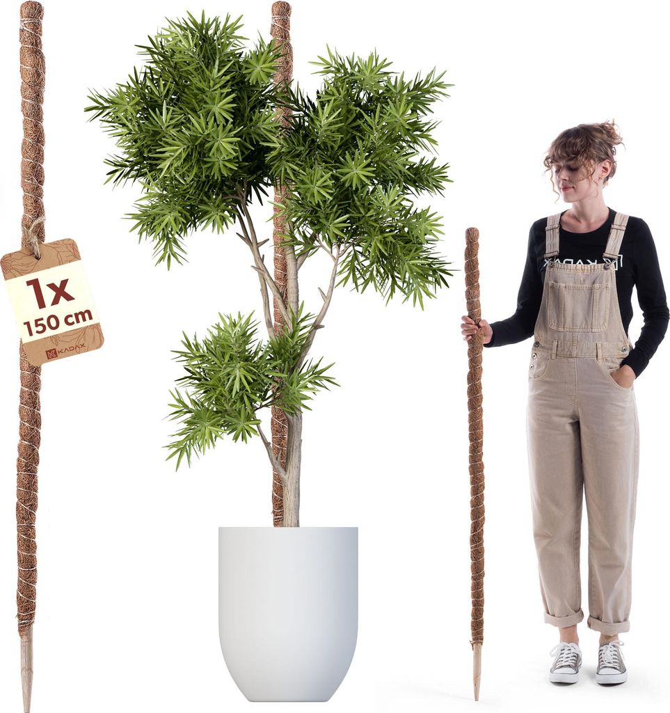 KADAX Kokosstab 150cm für Zimmerpflanzen, Pflanzstab aus Kokosfaser zur sicheren Pflanzenstütze, Moosstab für Kletterpflanzen, Monstera Rankhilf...