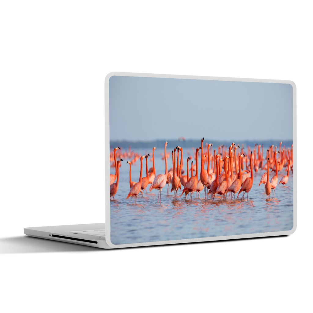 MuchoWow Laptop Aufkleber Sticker Cover Große Gruppe von Flamingos im Wasser 25x18 cm - Laptop-Deko