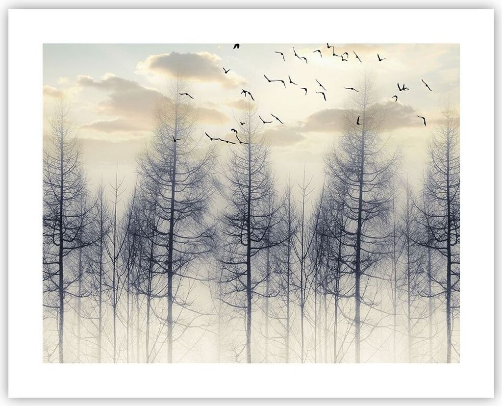 Poster - Poster ohne Rahmen - Bäume Vögel Himmel - 50x40 cm - Wand Bild - Wanddeko - Wandbilder - Kunstposter - Wandposter - Bilder - Kunstdruck ...