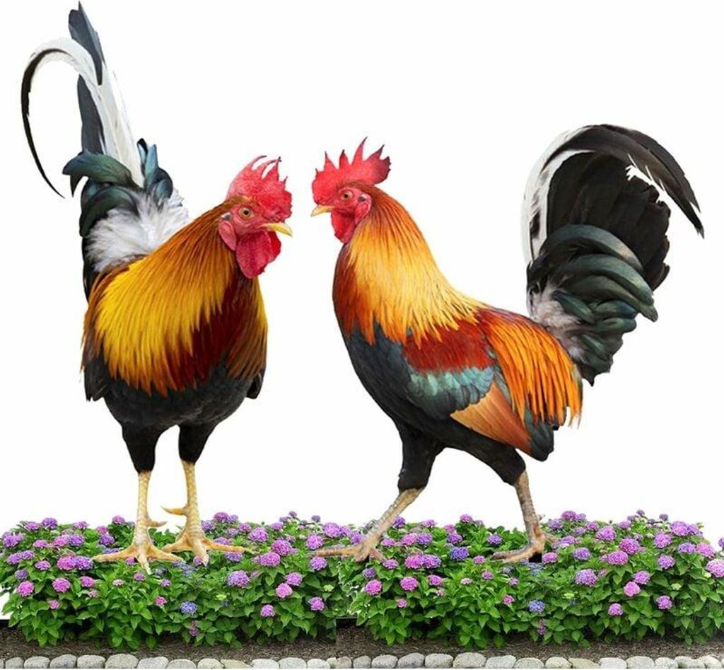 Hühner-Gartenornamente, 2 Stück, dekorative Produktbild 