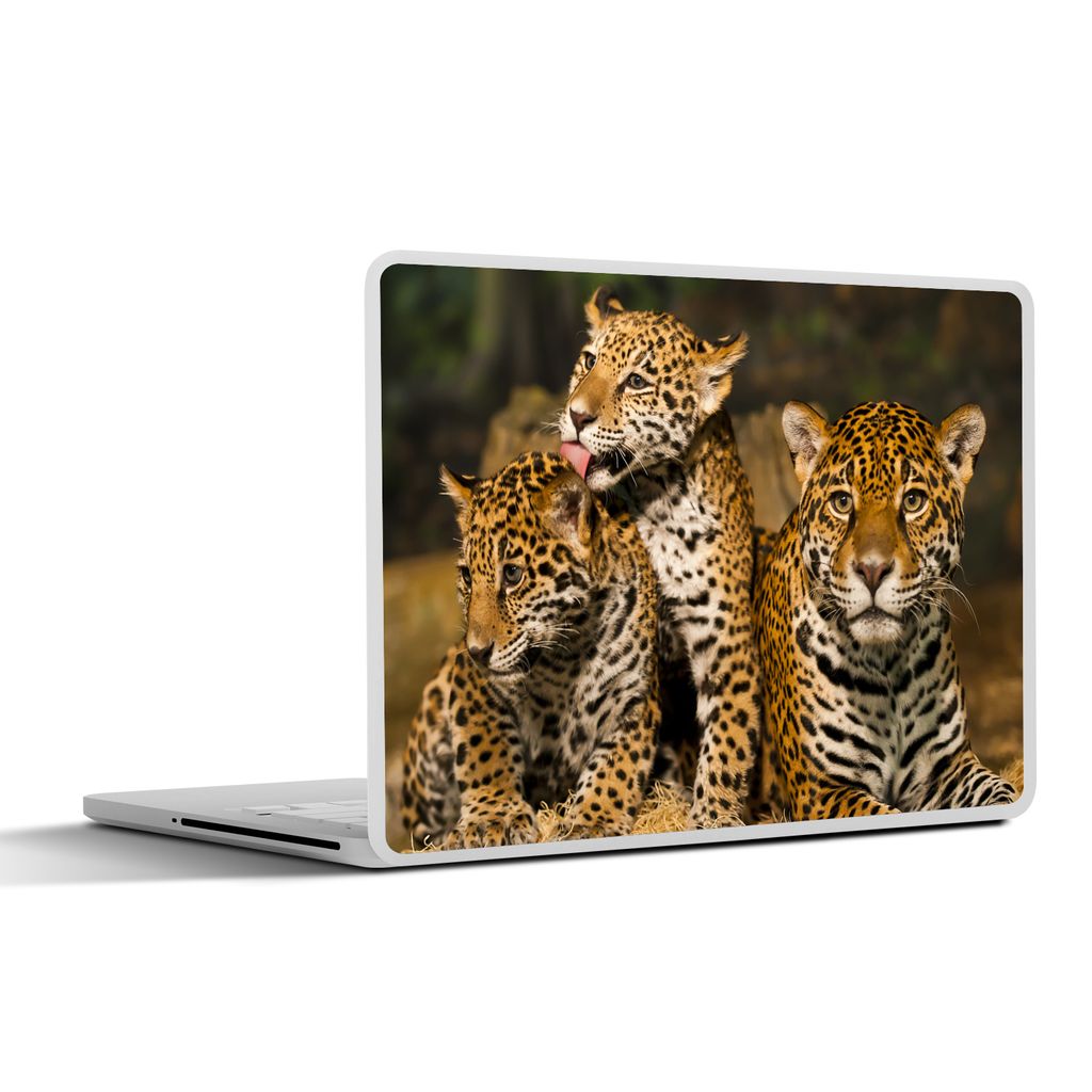 MuchoWow Laptop Aufkleber Sticker Cover Leopard - Wilde Tiere - Natur 25x18 cm - Laptop-Deko