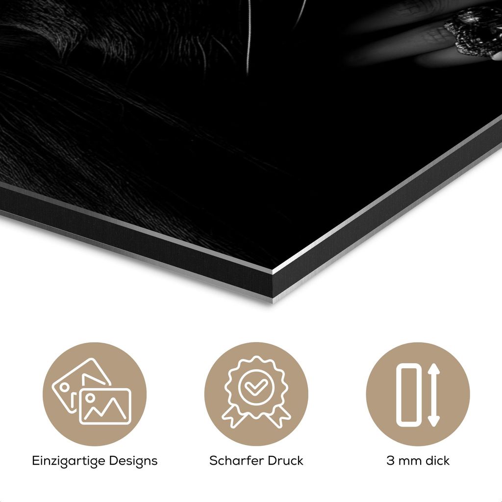 MuchoWow Wanddekoration Metall Metallbild Wandkunst 30x20 cm Frau - Panther - Luxus - Schwarz - Weiß - Tier MuchoWow Aluminium Gemälde - Aluminiu...