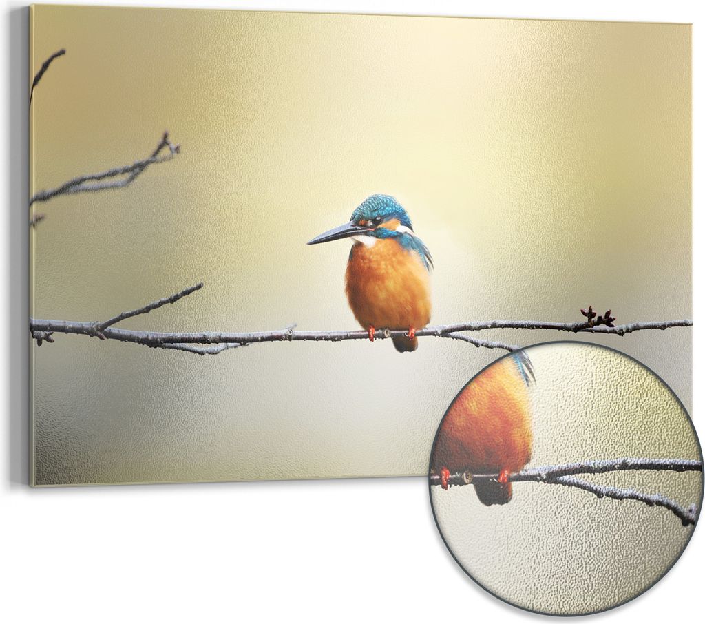 DEQORI Magnettafel Metall 60x40 cm 'Königsfischer auf Zweig' Whiteboard Pinnwand Büro