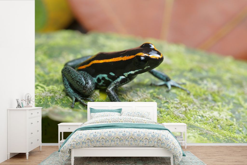MuchoWow Fototapete für Wohnzimmer oder Schlafzimmer Wandtapete Vinyl Motivtapete Schwarzer Frosch auf einem Blatt - 600x400 cm - Vinyltapeten