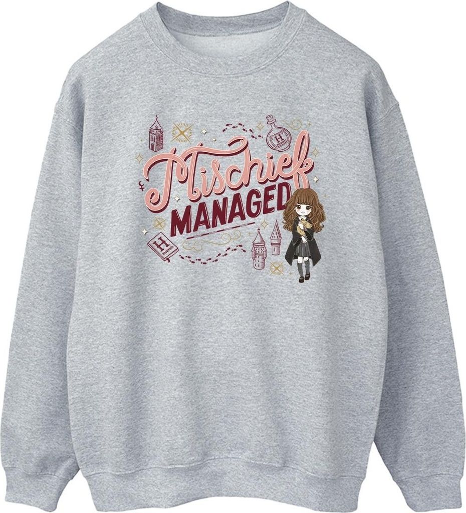 Harry Potter - "Mischief Managed" Sweatshirt für Herren BI28829 (M) (Grau)