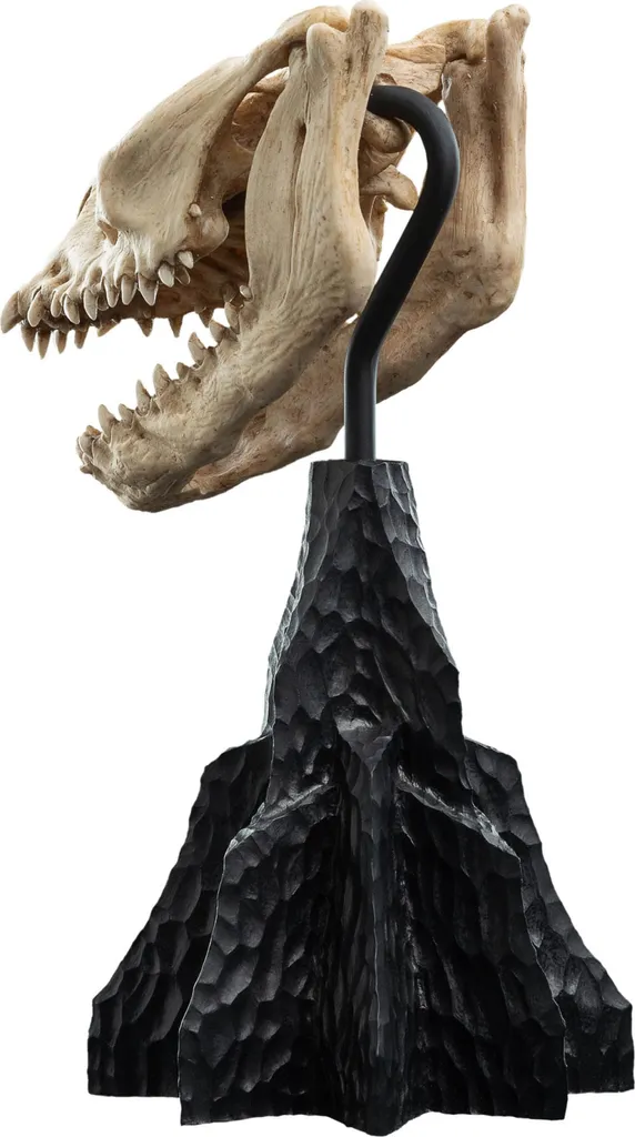 Objet de Collection Crâne de Bête Qualité Musée pour Vitrine de Fantasy - 9