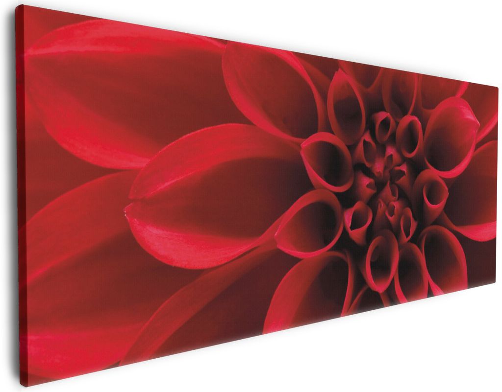 Wallario Premium Leinwandbild Rote Dahlienblüte in Nahaufnahme in Größe 80 x 200 cm
