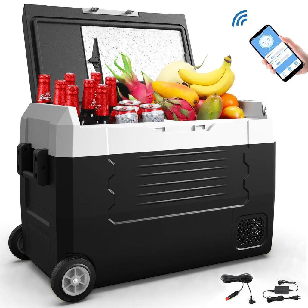 Kompressor Kühlbox 35 L - Auto Kühlschrank -20° bis 20°C - 12/24V DC & 230V AC - App Steuerung - Tragbar für Camping