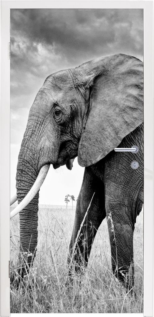 MuchoWow Türtapete Selbstklebende Türfolie Elefant in der Ebene in Schwarz und Weiß 80x205 cm Türposter Türaufkleber Klebefolie Türklebefol...