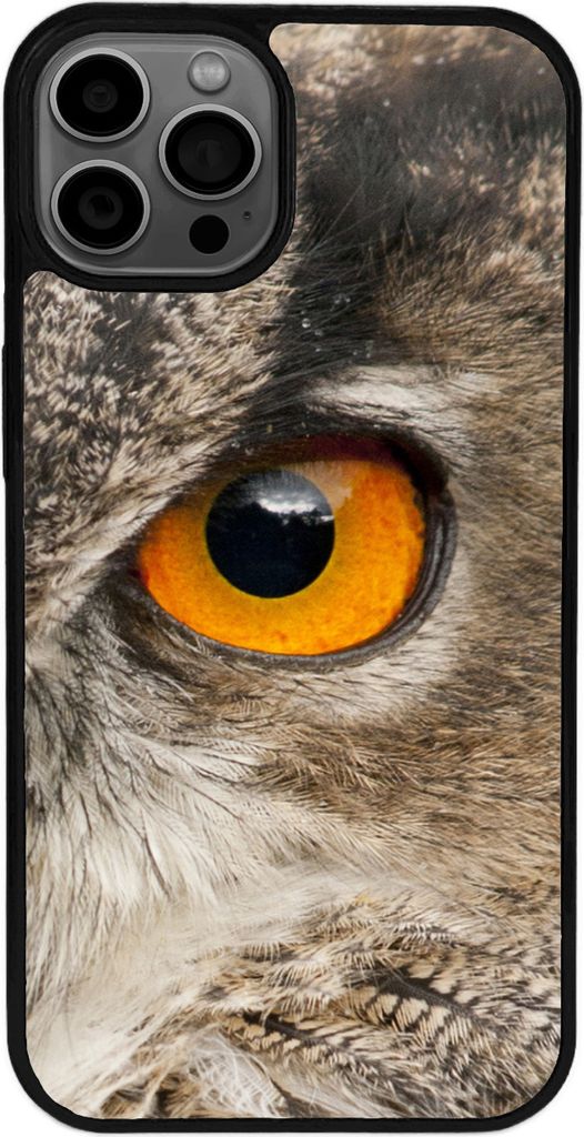TPU Silikon Hülle für iPhone 16 Handy Cover Case Schutzhülle Handyhülle Bumper MOTIV 355 Eulen Auge