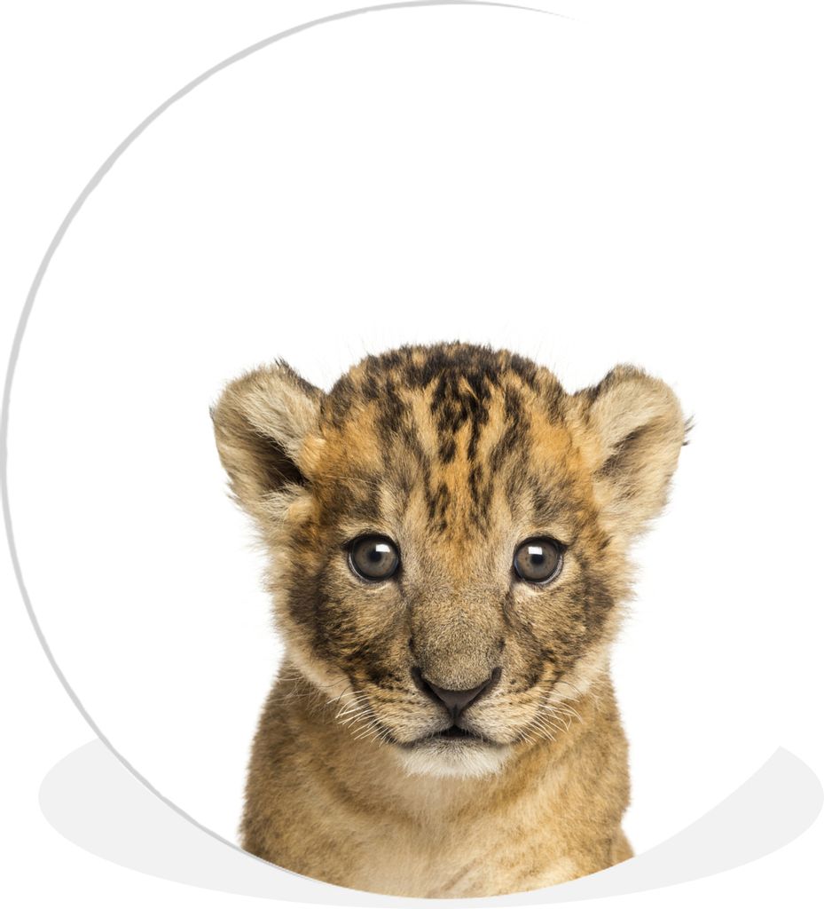 MuchoWow Rundes Wandbild - Runde Bilder Löwe - Kinder - Wildtiere - Jungtier - Junge Ø 90 cm Kreis Wanddekoration Kunststoff - Wandkreis - Wand...