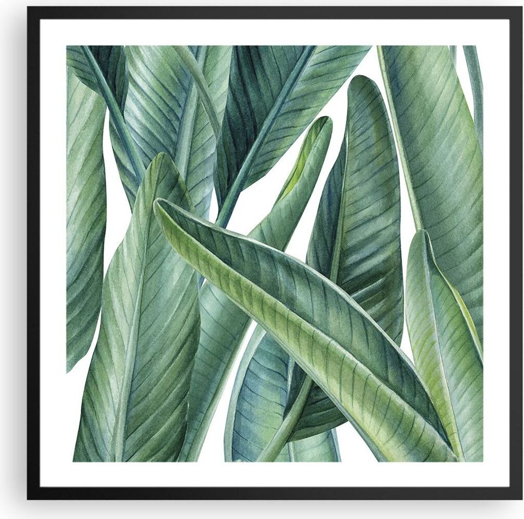 Gerahmtes Poster - Schwarzer Rahmen - Exotisch Blätter Grün - 60x60 cm - Wand Bild - Wanddeko - Wandbilder - Kunstposter - Wandposter - Bilderrah...