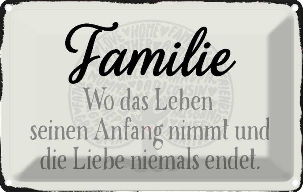 vianmo Blechschild 20x30 cm Familie wo Leben Anfang nimmt Freunde