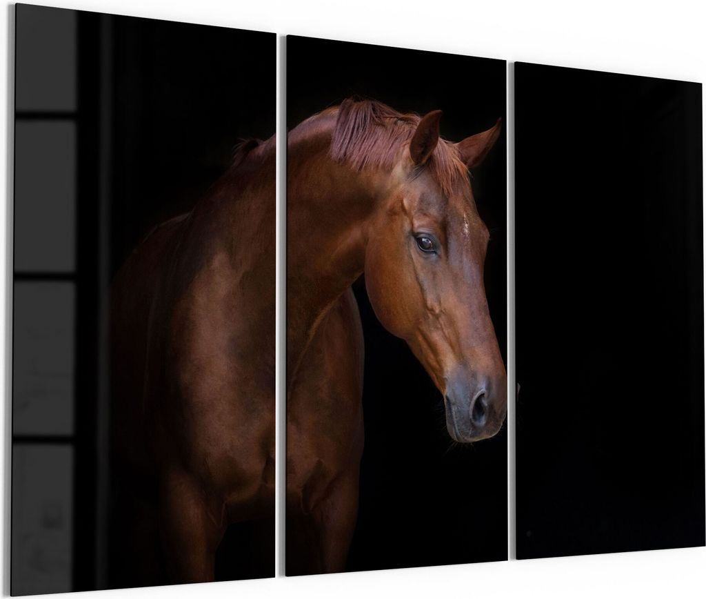 DEQORI Glasbild Echtglas 3x50x100 cm 'Brauner Hengst' Wandbilder XXL groß