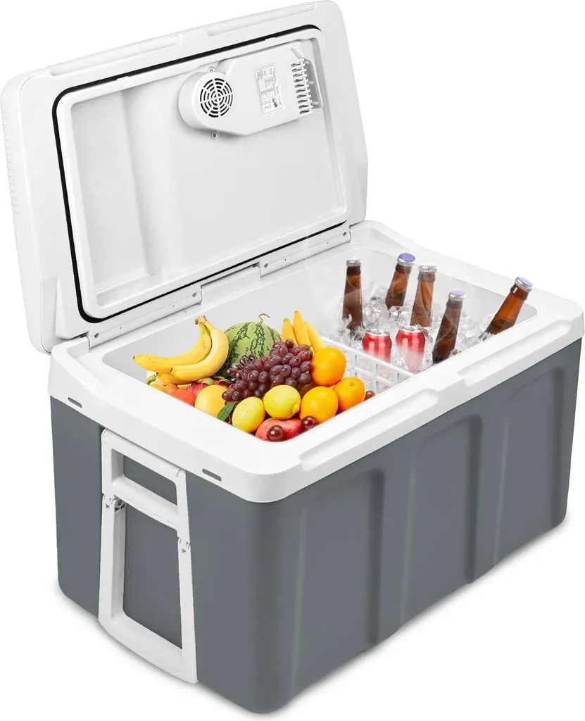 Mini Frigo Sessamen-LP 48L Recensione: Il Migliore per la Famiglia