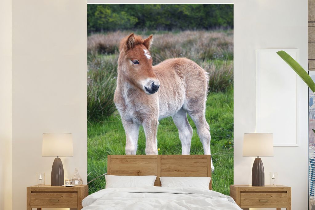MuchoWow Fototapete für Wohnzimmer oder Schlafzimmer Wandtapete Vinyl Motivtapete Fohlen im hohen grünen Gras - 145x220 cm - Wanddekoration