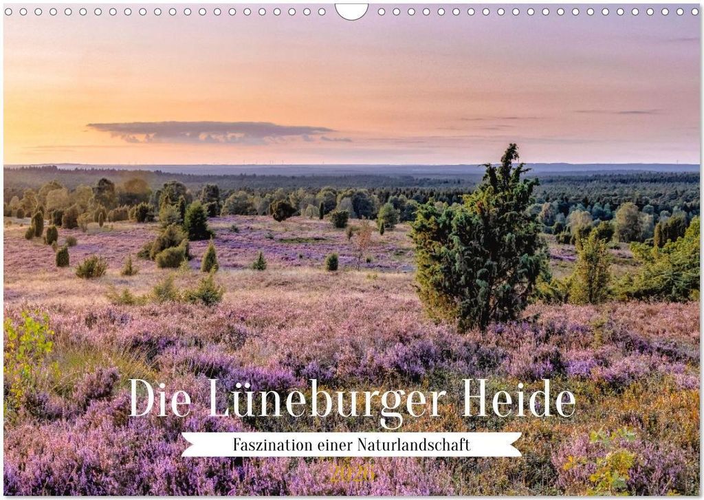 Die Lüneburger Heide - Faszination einer Naturlandschaft (Wandkalender 2026 DIN A3 quer), CALVENDO Monatskalender