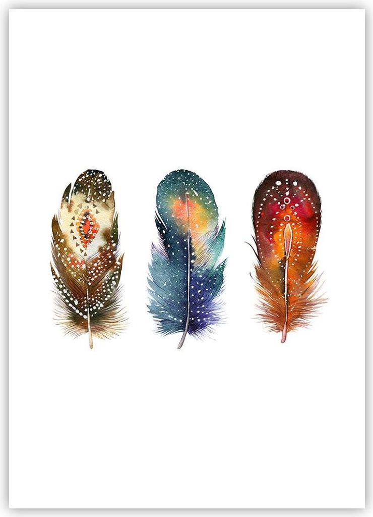Poster - Poster ohne Rahmen - Feder Vogel Farbe - 50x70 cm - Wand Bild - Wanddeko - Wandbilder - Kunstposter - Wandposter - Bilder - Kunstdruck - W...