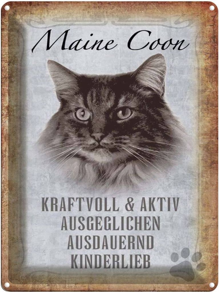 vianmo Blechschild 40x30 cm Maine Coon Katze aktiv