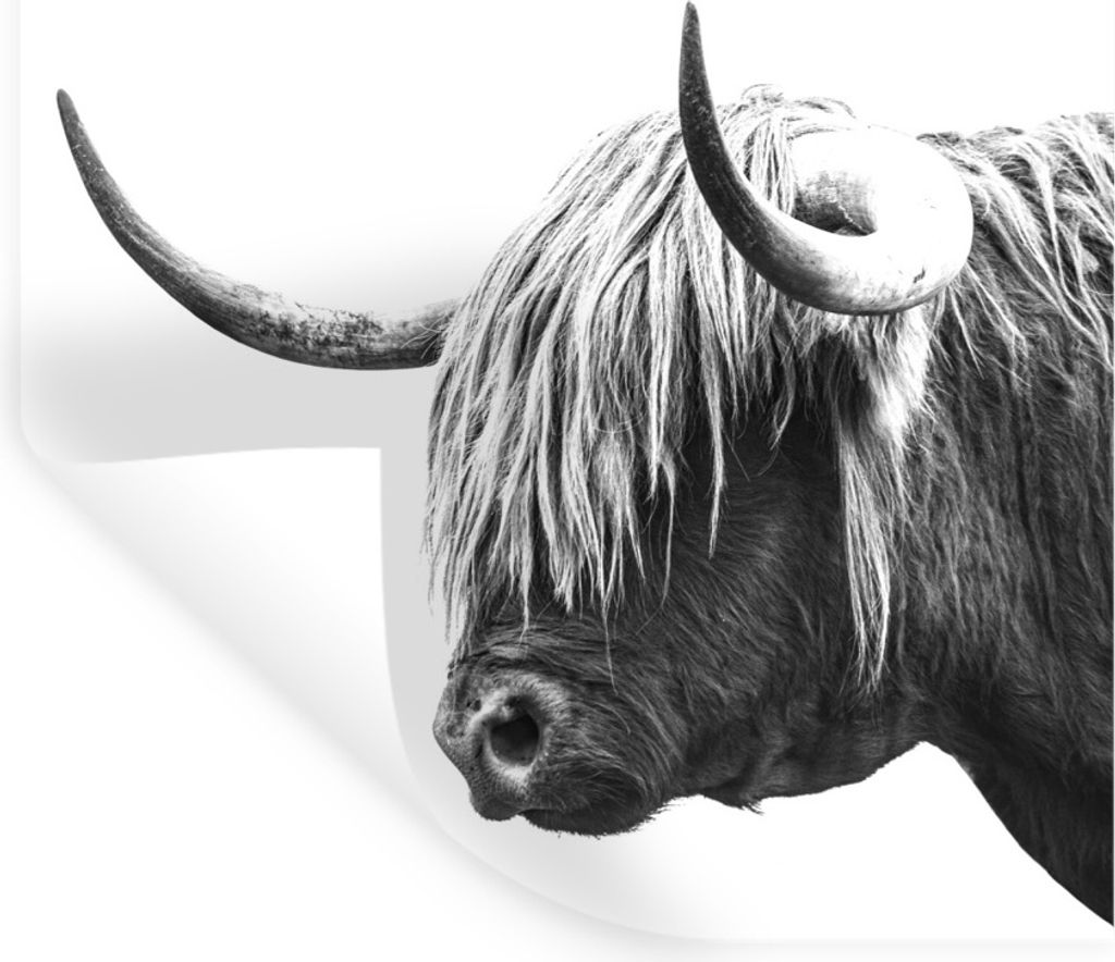 MuchoWow Wandtattoo Wandsticker Wandaufkleber Profil eines schottischen Highlanders - schwarz-weiß 40x60 cm Selbstklebend und Repositionierbar -...